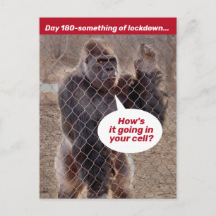 Gorilla-fängelset är låst under inkapsling i Ställ Vykort