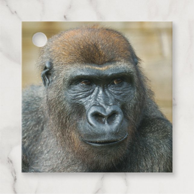 Gorilla Gåvor Etiketter (Framsida)