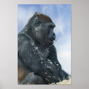 Gorilla Get Messy Poster