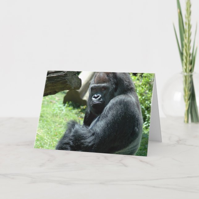 Gorilla Glare Greeting Card Kort (Framsida)