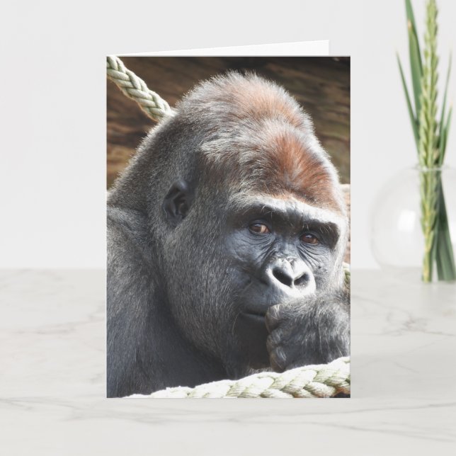 Gorilla Greeting Card Kort (Framsida)