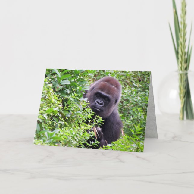 Gorilla Greeting Card Kort (Framsida)