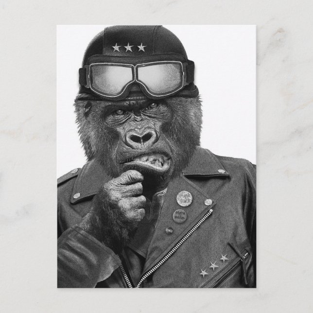 Gorilla Guy Vykort (Framsida)
