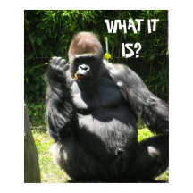 GORILLA HÄLSNING POSTER