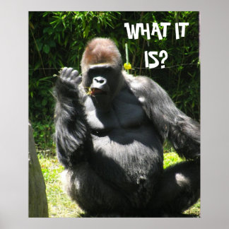 GORILLA HÄLSNING POSTER