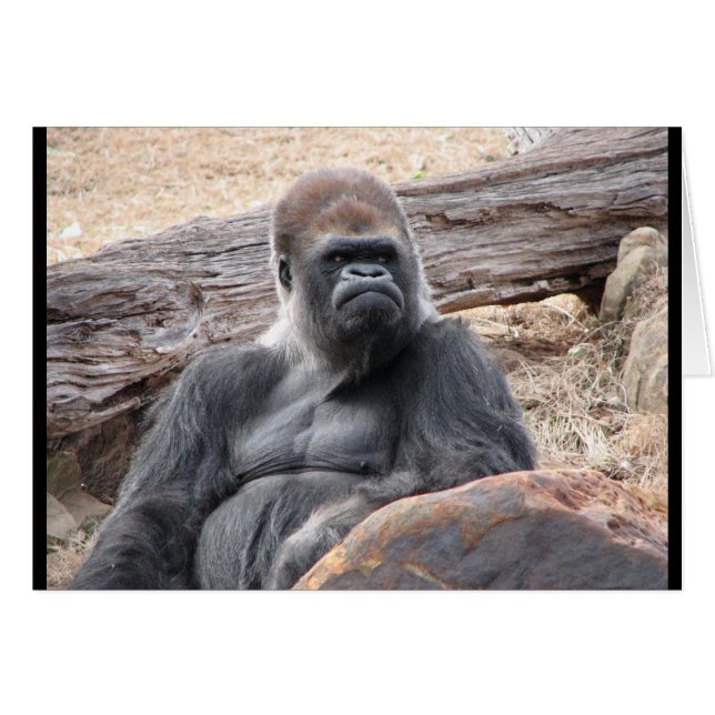 gorilla hälsningskort (Framsidan Horizontal)