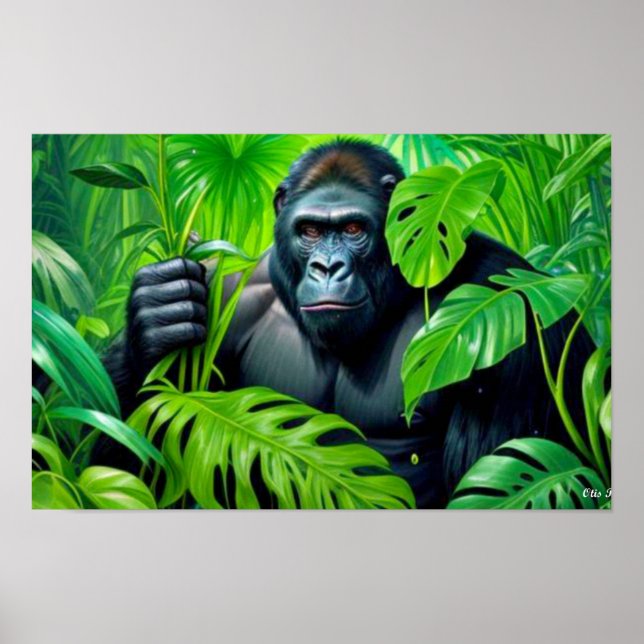 GORILLA I RAINFOREST 6 POSTER (Framsidan)