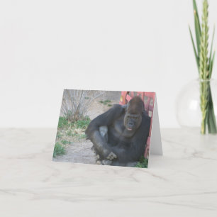 Gorilla i Sol Tack Kort