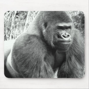 Gorilla i svartvitt musmatta