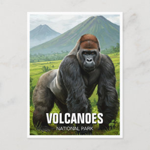 Gorilla i Volcanoes National Park Rwanda Resa Vykort