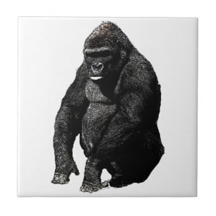 Gorilla Kakelplatta