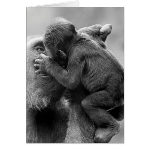 Gorilla Kiss Hälsningskort