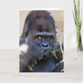 Gorilla Kort