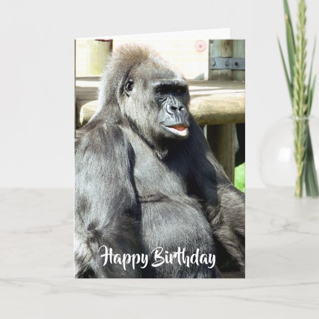GORILLA KORT (Framsida)