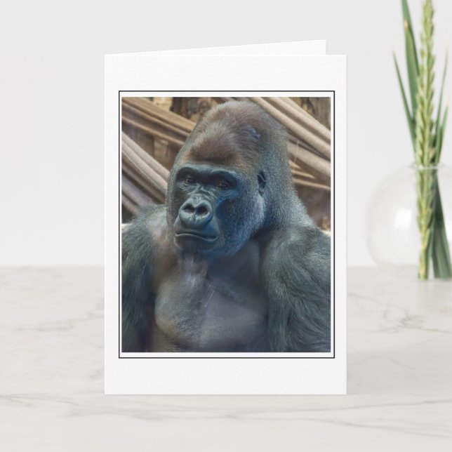 Gorilla-kort för nära hälsning kort (Framsida)