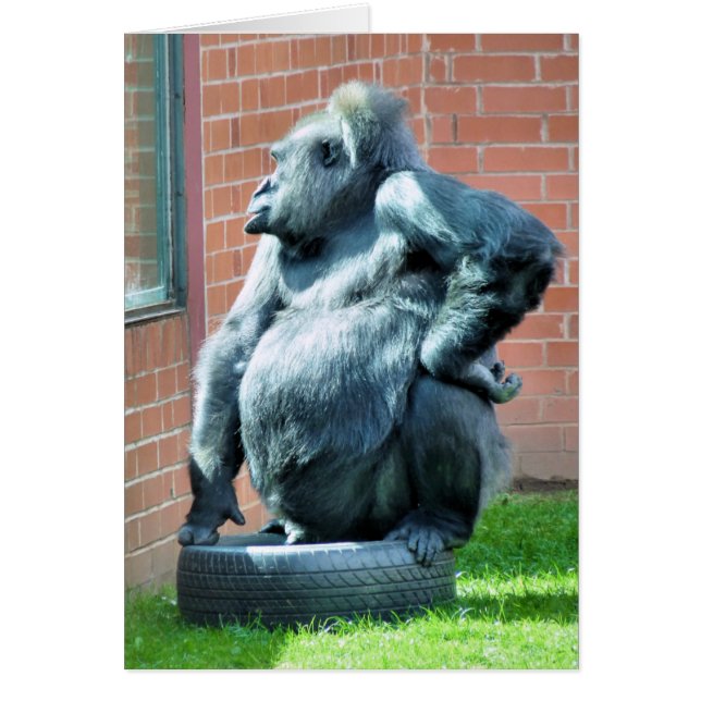 GORILLA-kort Hälsningskort (Framsidan)