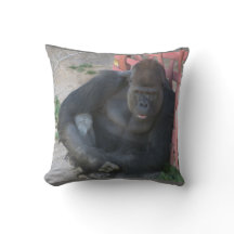 gorilla