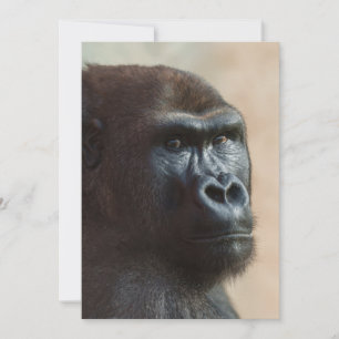 Gorilla Lope Close-up Julkort