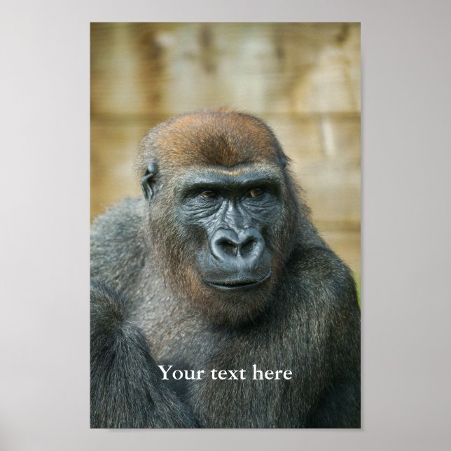 Gorilla Lope Poster (Framsidan)