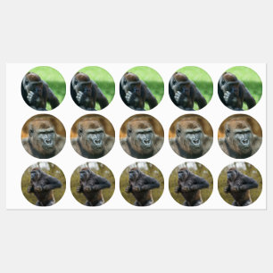 Gorilla Lope (Round Design Design) Klistermärke