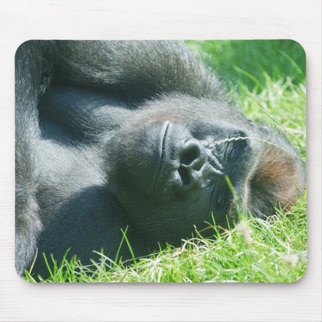 Gorilla Lope’s Fredliga Sommardröm Musmatta (Framsidan)
