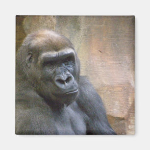 GORILLA magnet