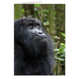 Gorilla mina drömmar - kvinna OBS kort