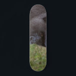 Gorilla Mini Skateboard Bräda 18,5 Cm<br><div class="desc">Gorilla</div>