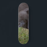 Gorilla Mini Skateboard Bräda 18,5 Cm<br><div class="desc">Gorilla</div>