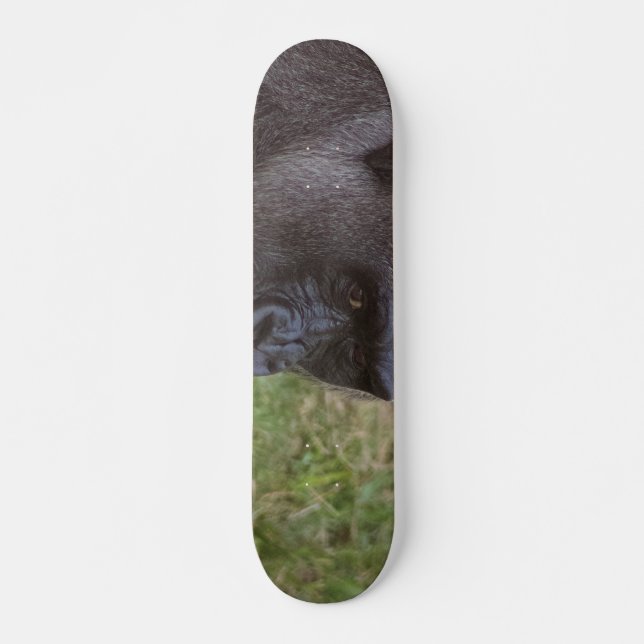 Gorilla Mini Skateboard Bräda 18,5 Cm (Framsida)