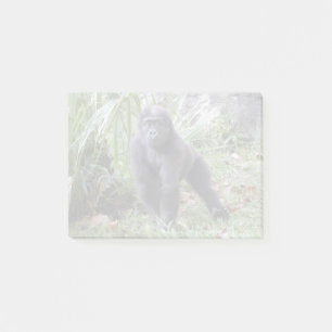 Gorilla Moke vid National Zoo Post-it Block