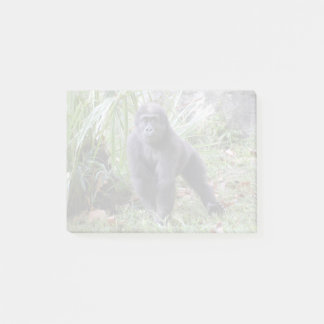 Gorilla Moke vid National Zoo Post-it Block