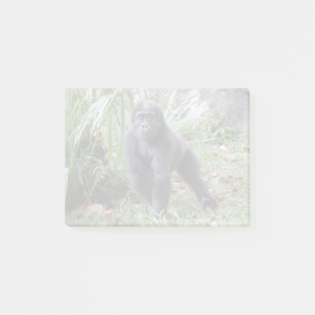 Gorilla Moke vid National Zoo Post-it Block (Framsida)