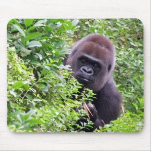 Gorilla Mousepad Musmatta