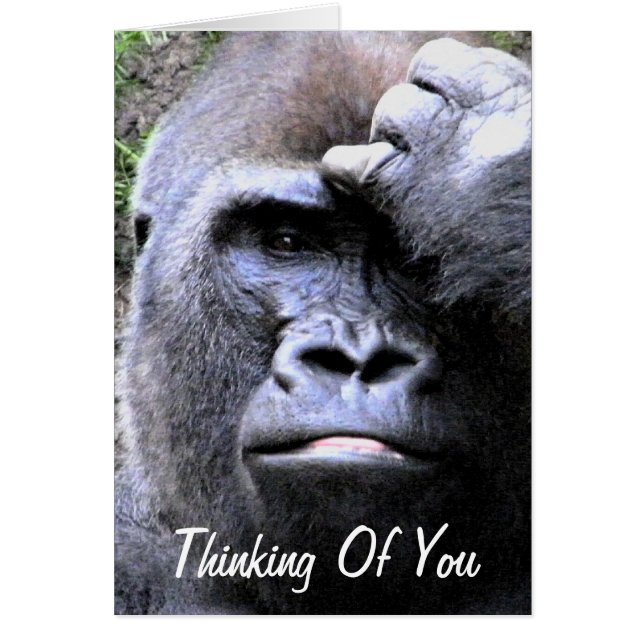 Gorilla_ OBS Kort (Framsidan)