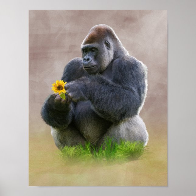 Gorilla och Gult Daisy Poster (Framsidan)