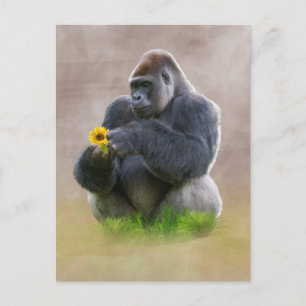 Gorilla och Gult Daisy Vykort