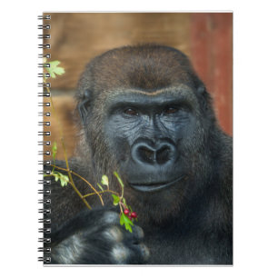 Gorilla och hans bär anteckningsbok
