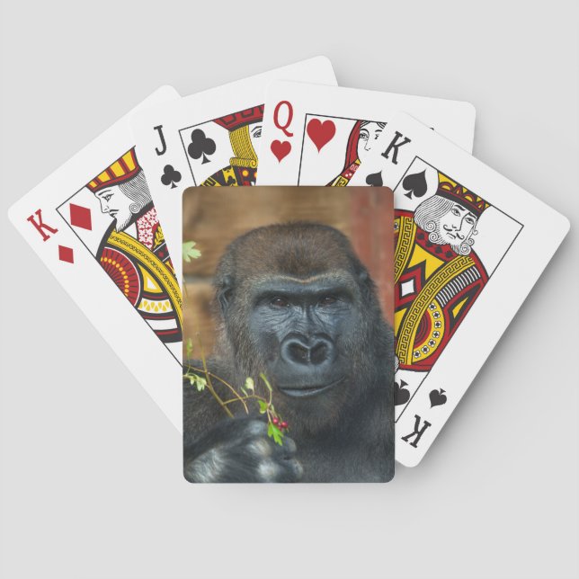 Gorilla och hans bär casinokort (Baksidan)