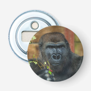 Gorilla och hans bär flasköppnare