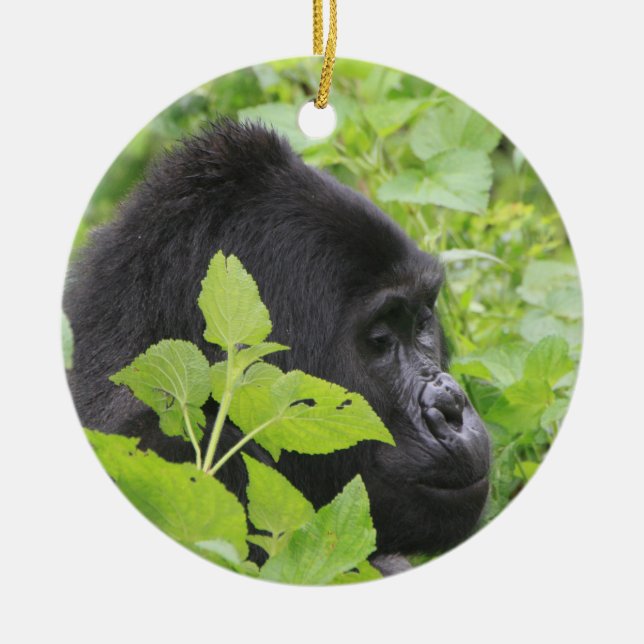 Gorilla Ornament (Framsidan)