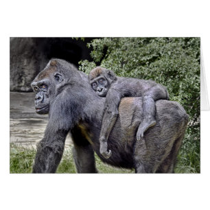 Gorilla "på ryggen" mamma och bebis #2 hälsningskort