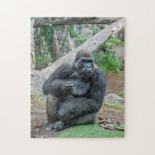Gorilla på zoopussel pussel