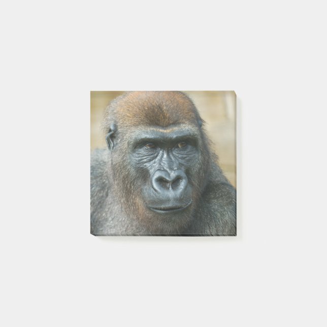Gorilla Papper Post-it Block (Framsida)