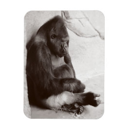 Gorilla Photography Sleeping Magnet