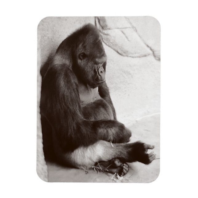 Gorilla Photography Sleeping Magnet (Vertikal)