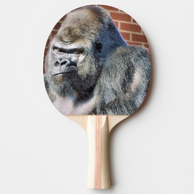 GORILLA PINGISRACKET (Framsidan)