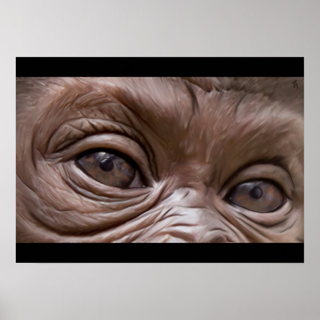 gorilla poster (Framsidan)