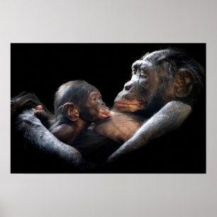 Gorilla Poster
