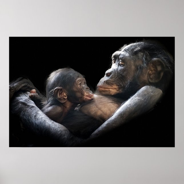 Gorilla Poster (Framsidan)